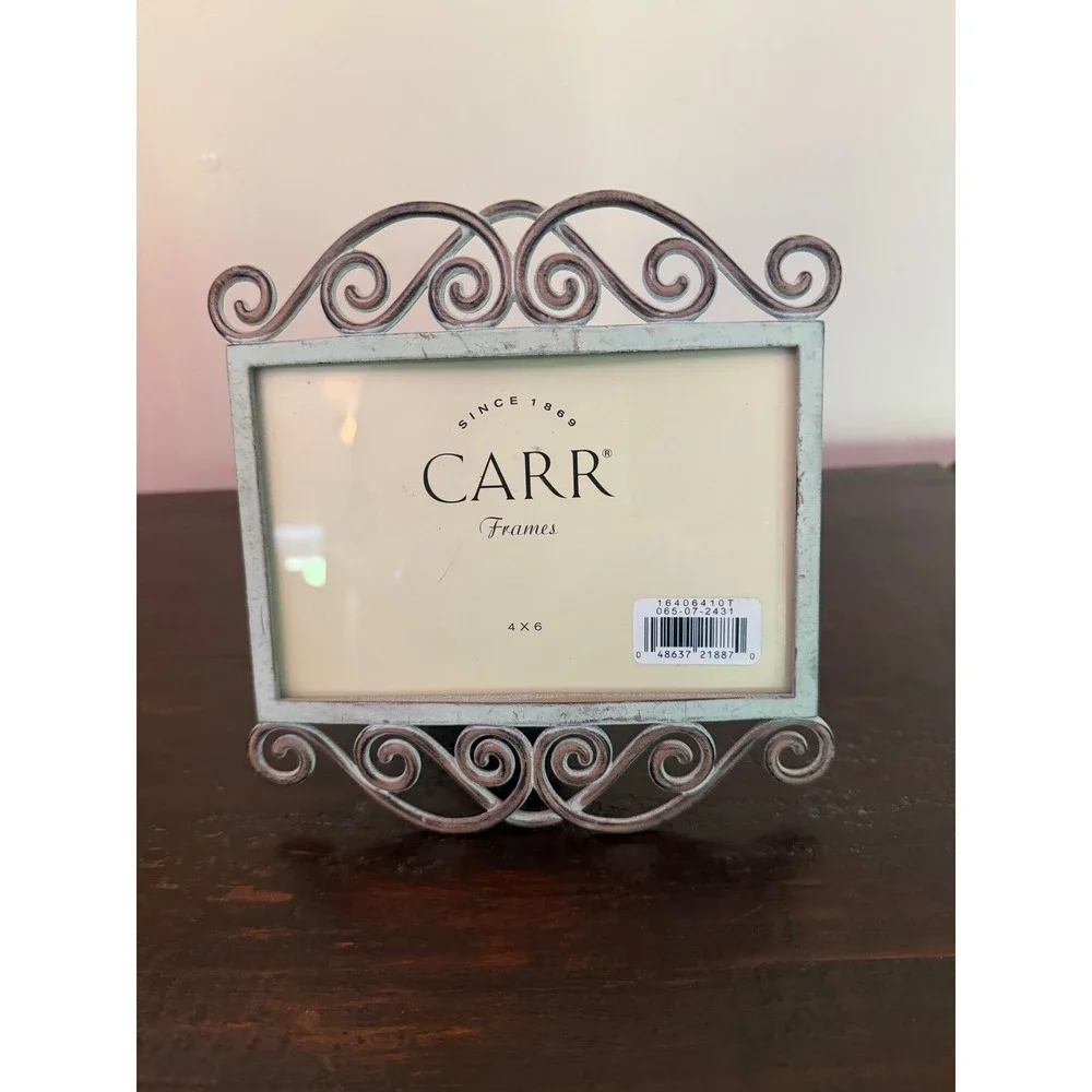 Carr Frames 4x6 Horizontal Metal Scroll Picture Frame Distressed Seafoam Green